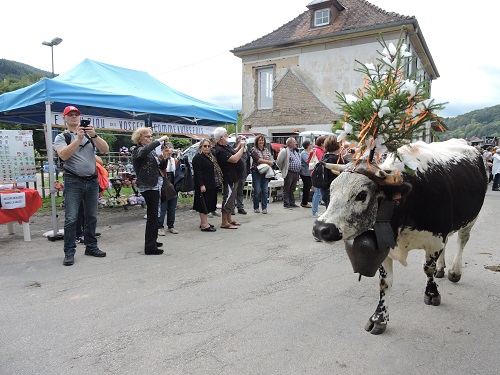 transhumance